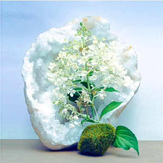 fauna with stone for Jill Turnbull beauty botanical haircare