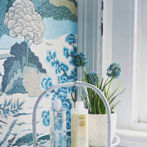 Jill Turnbull botanical haircare aloe vera serum and hydrating tone conditioner