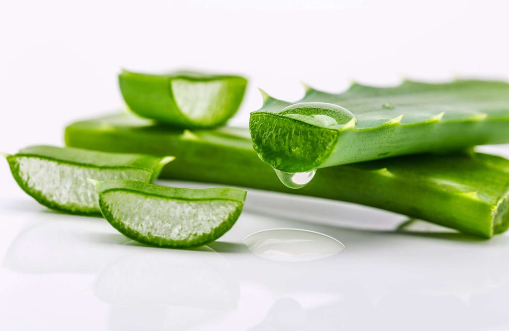 ALOE VERA HAIR CARE - ALOE VERA IS ONE OF OUR HERO HAIR CARE INGREDIENTS AND THIS IS WHY WE LOVE IT!
