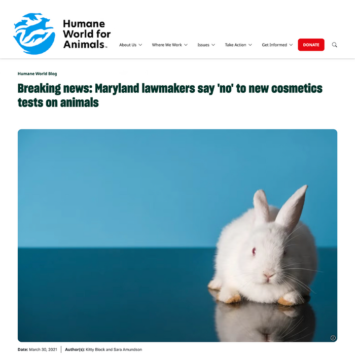 Jill Turnbull Beauty's botanical haircare products featured in Humane World for Animals Magazine plant-based, ocean-safe formulas developed by a professional hairdresser for performance and sustainability.