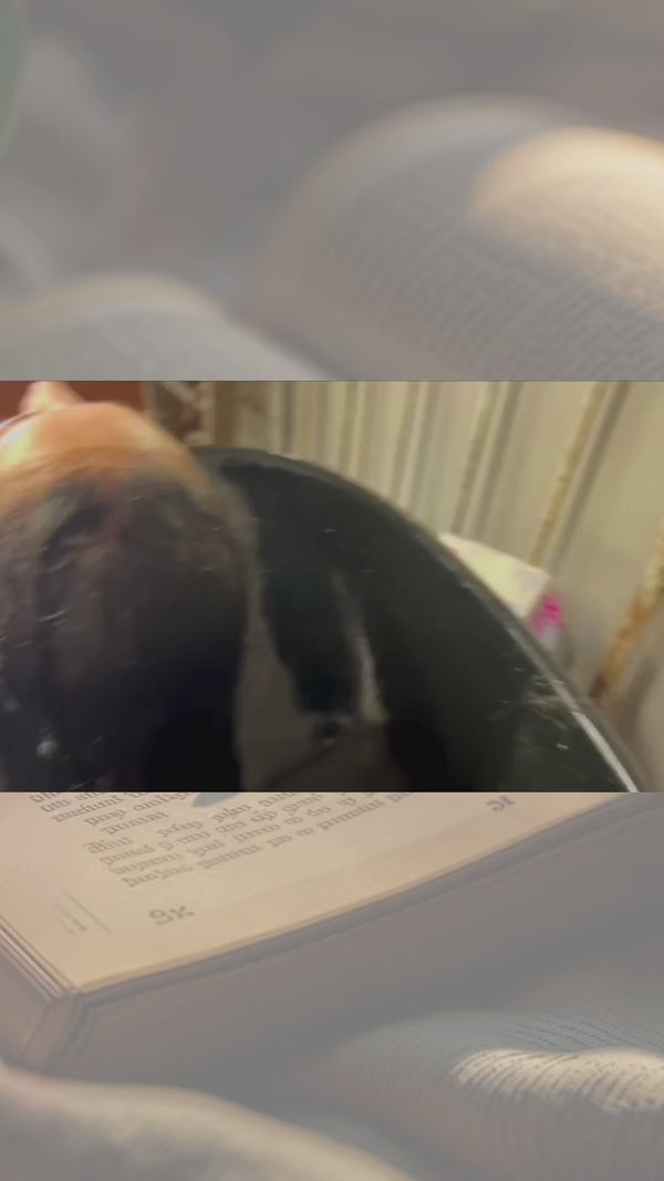 Multi-step deep botanical haircare cleanse: scrub applied at the hairline, rosemary wash emulsified and worked through the scalp and hair, rinsed, followed by a second rosemary wash to nourish the hair before a final rinse with Tone conditioner.