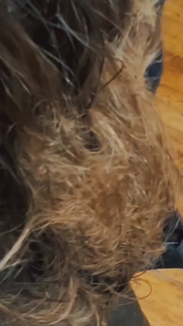 Our lightweight ROSEMARY LEAVE.IN detangles, builds body, adds volume and shine, and locks in moisture and protein. It nourishes from root to end, helps reduce frizz and split ends, and strengthens hair for lasting, healthy styles. Perfect for all hair types.