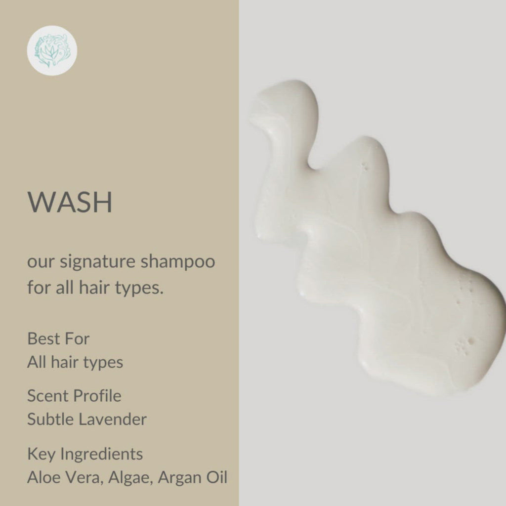 wash our signature antioxidant rich daily shampoo 